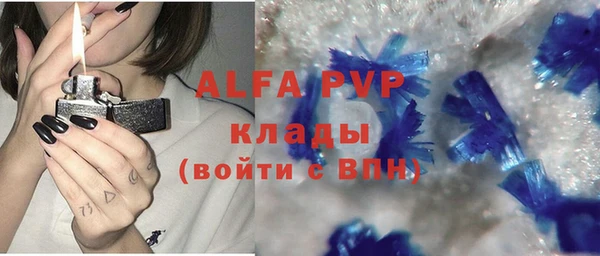 mdpv Бородино