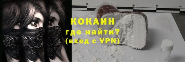 mdpv Бородино