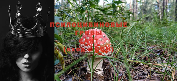 mdpv Бородино