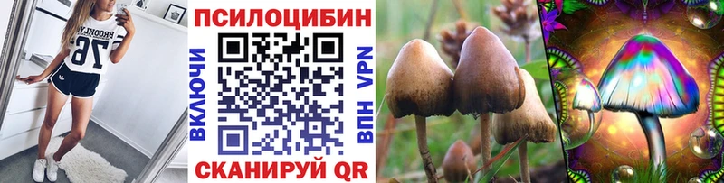 Псилоцибиновые грибы мицелий  Купить  Джанкой 