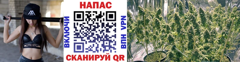 Купить закладки Джанкой Бошки марихуана индика